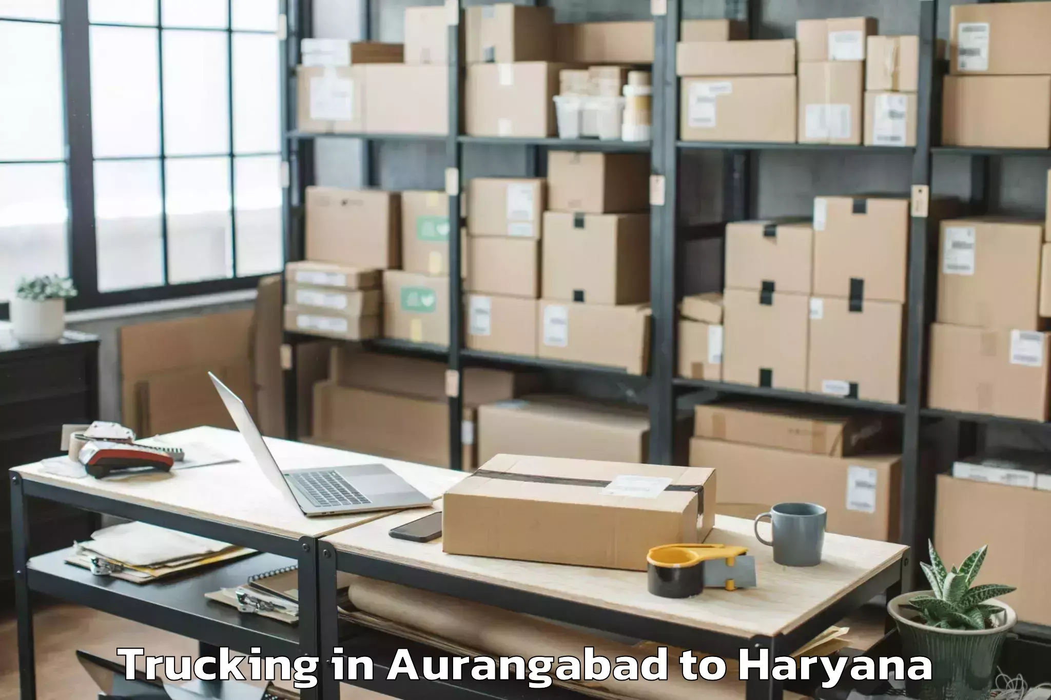 Expert Aurangabad to Rishihood University Sonipat Trucking